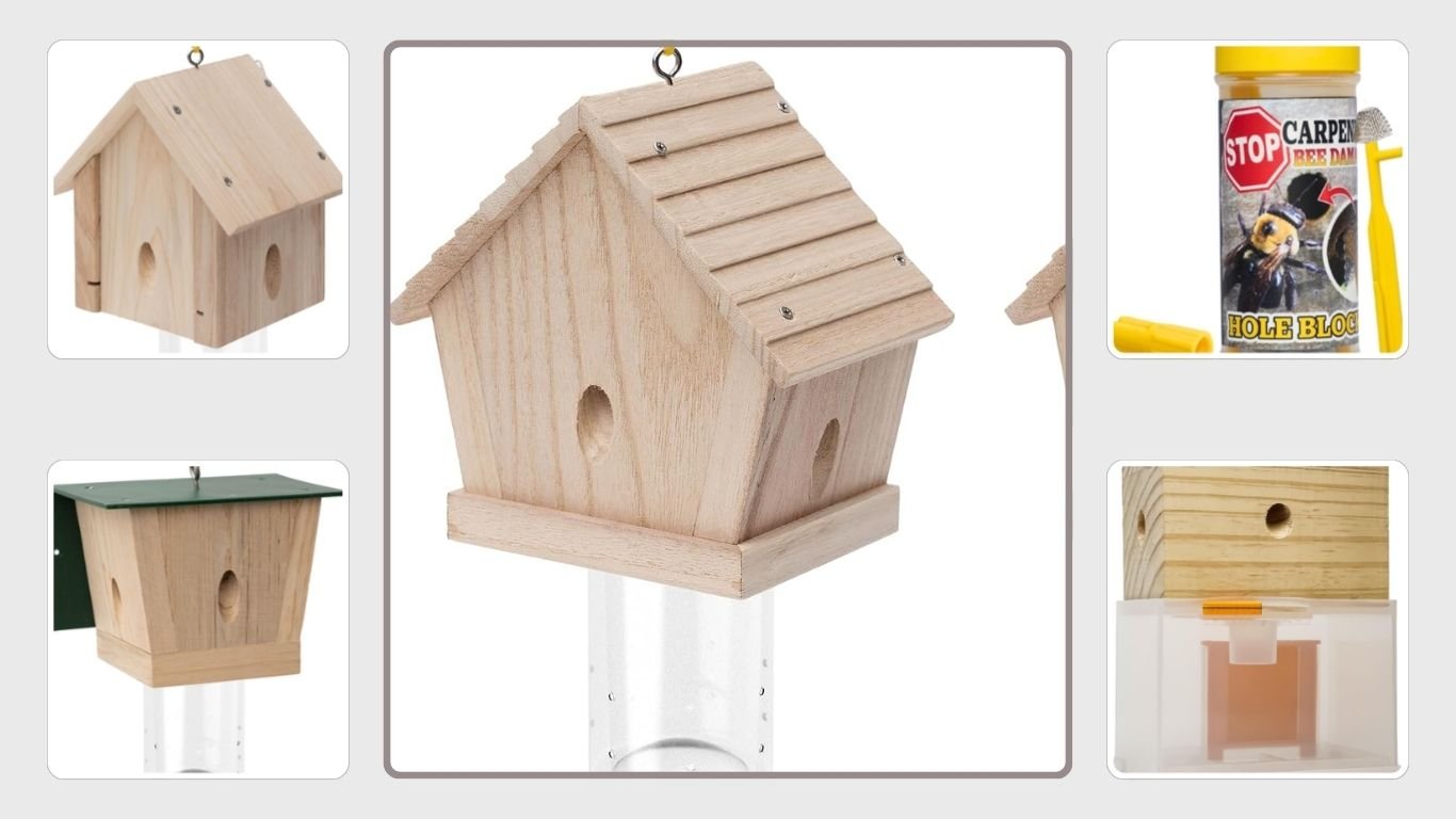 10 Best Carpenter Bee Traps for Effective Outdoor Control