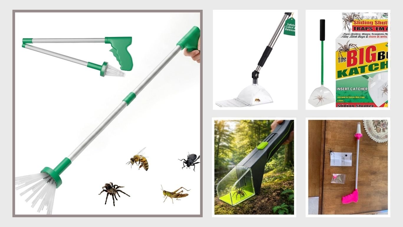 8 Best Spider Catcher Tools for Safe and Easy Removal