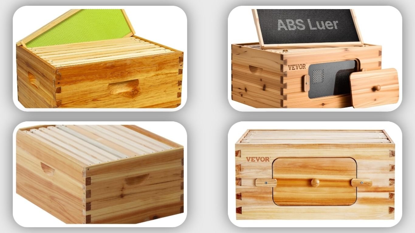 Top 11 Best Bee Boxes for Beekeeping and Hive Setup