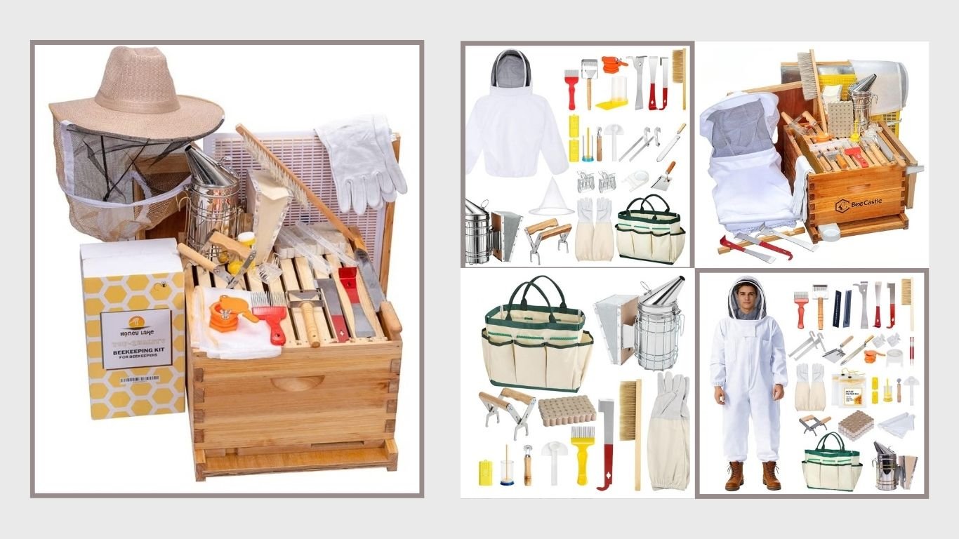 8 Best Bee Supplies for Beginner and Professional Beekeepers