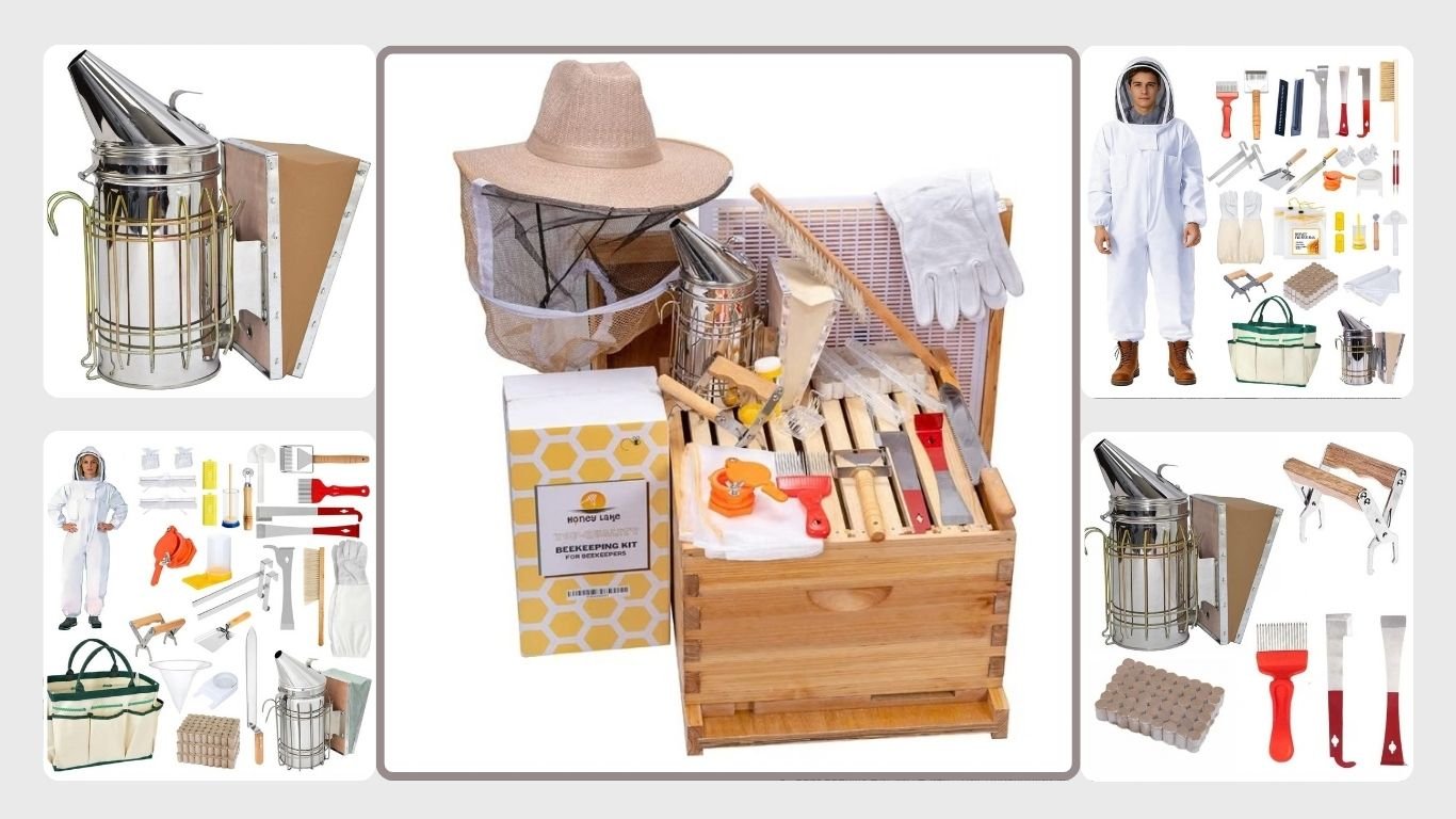 8 Best Bee Equipment for Beekeepers: Essential Tools for Hive Care