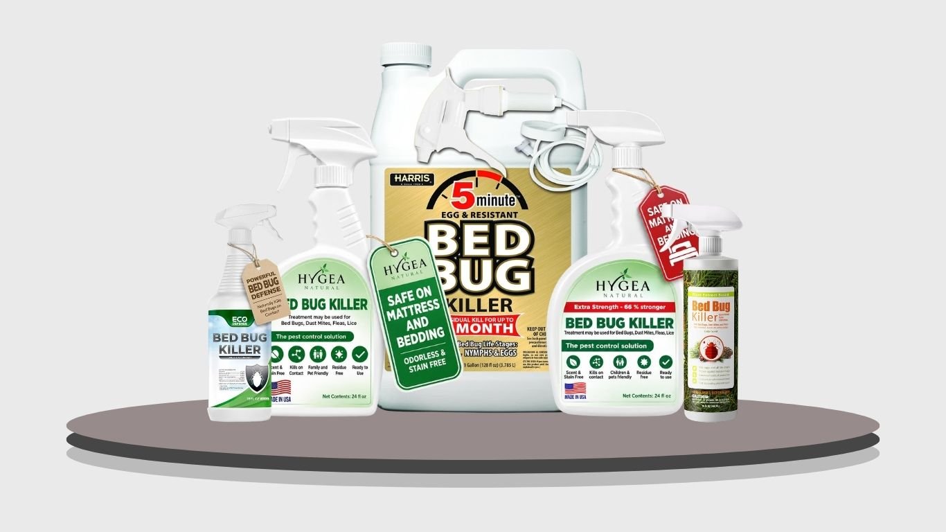 13 Best Bed Bug Sprays for Fast and Effective Control