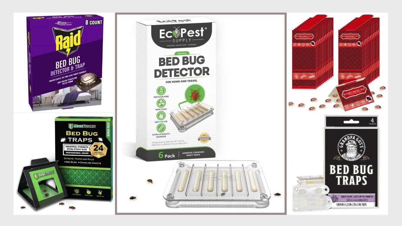 14 Best Bed Bug Traps for Detection and Control