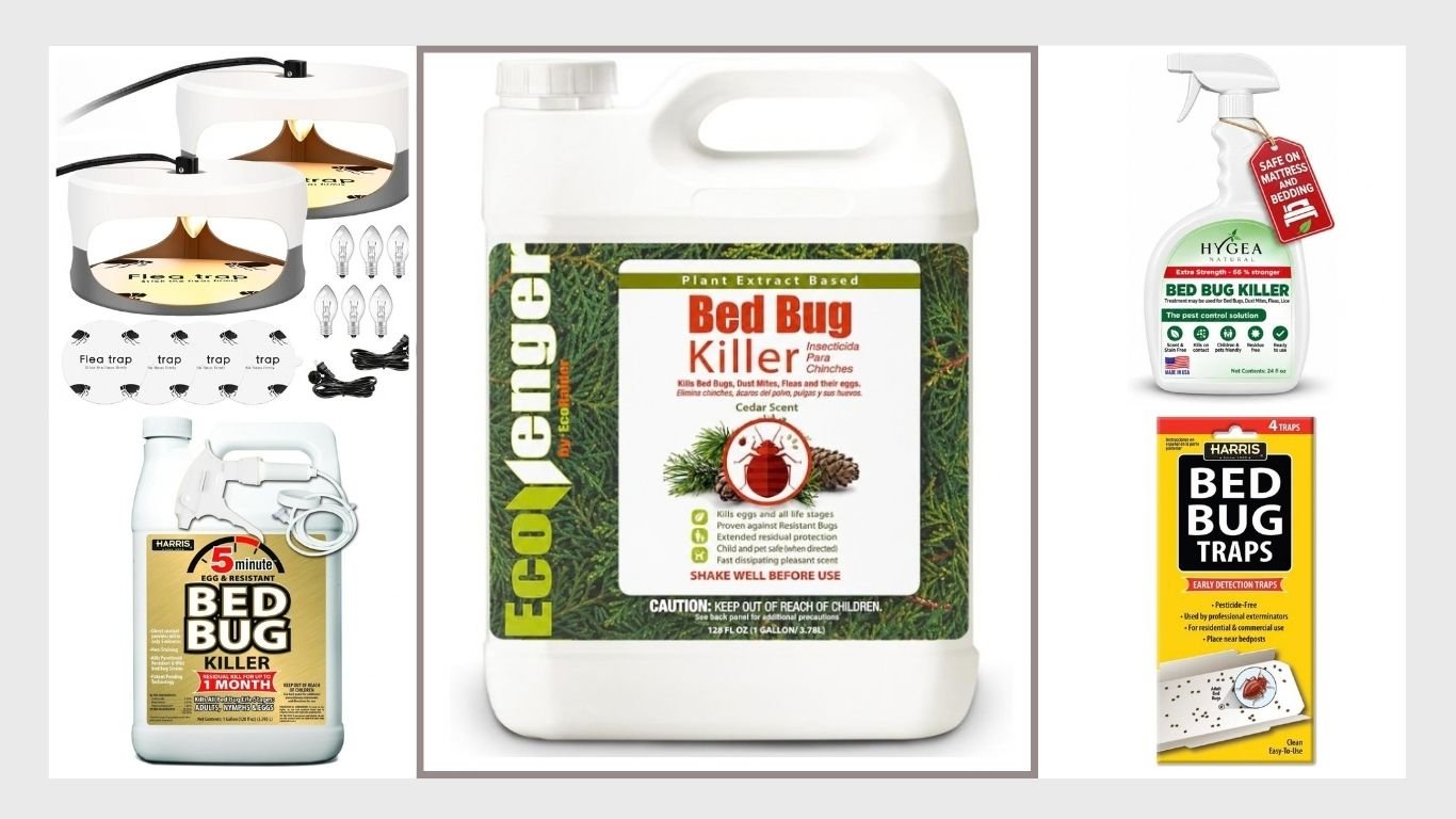 10 Best Bed Bug Exterminator Traps & Sprays for Home Use