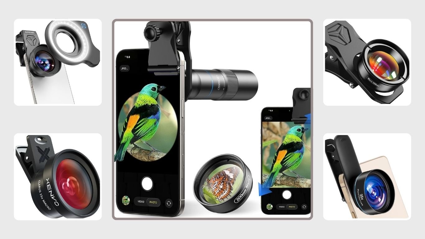 5 Best Macro Lenses for Mobile Insect Photography