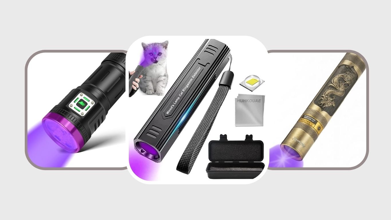10 Best Bed Bug Inspection Tools for Fast Detection