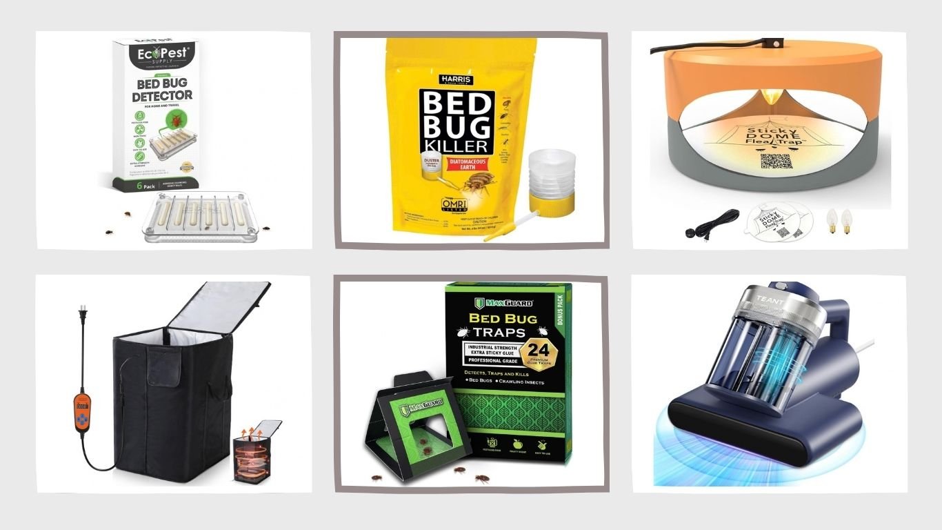 11 Best Bed Bug Catchers for Effective Detection & Control