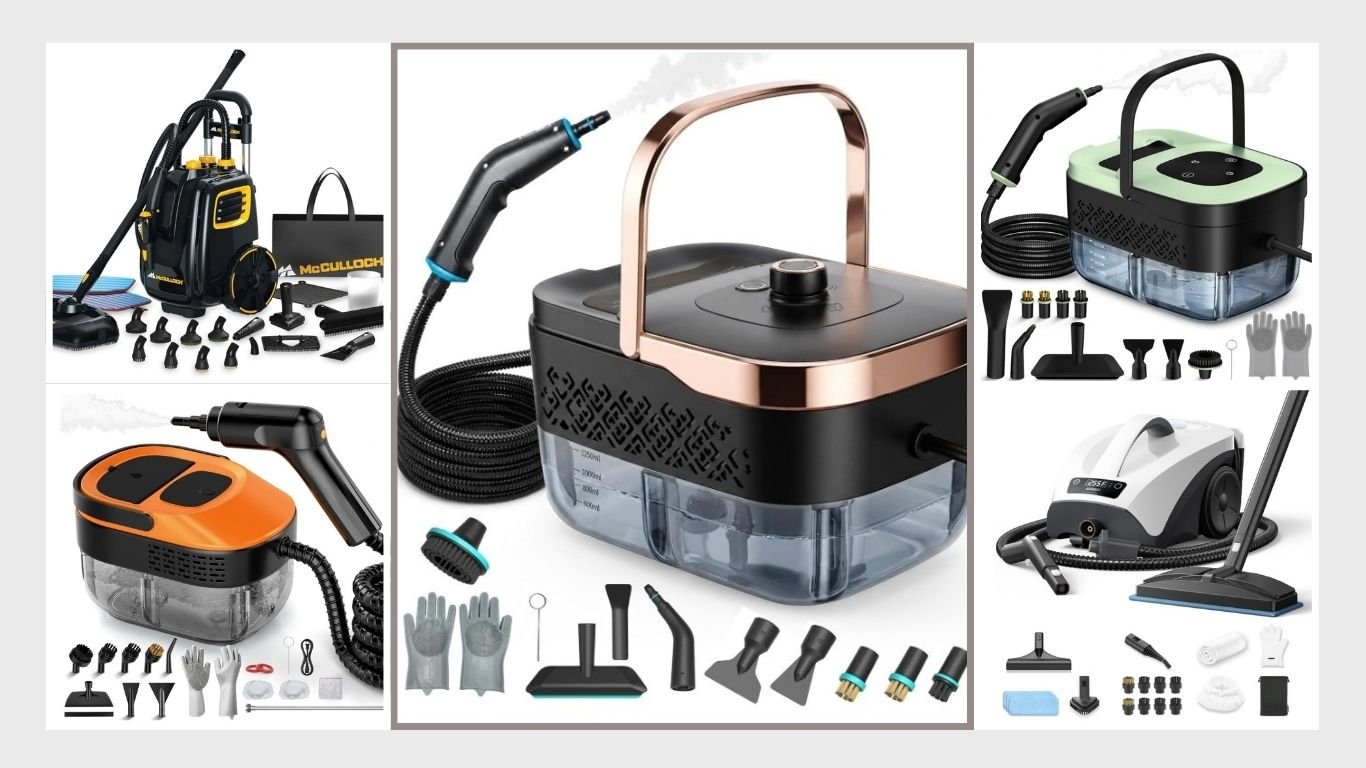 11 Best Bed Bug Steamers for Deep, Chemical-Free Treatment