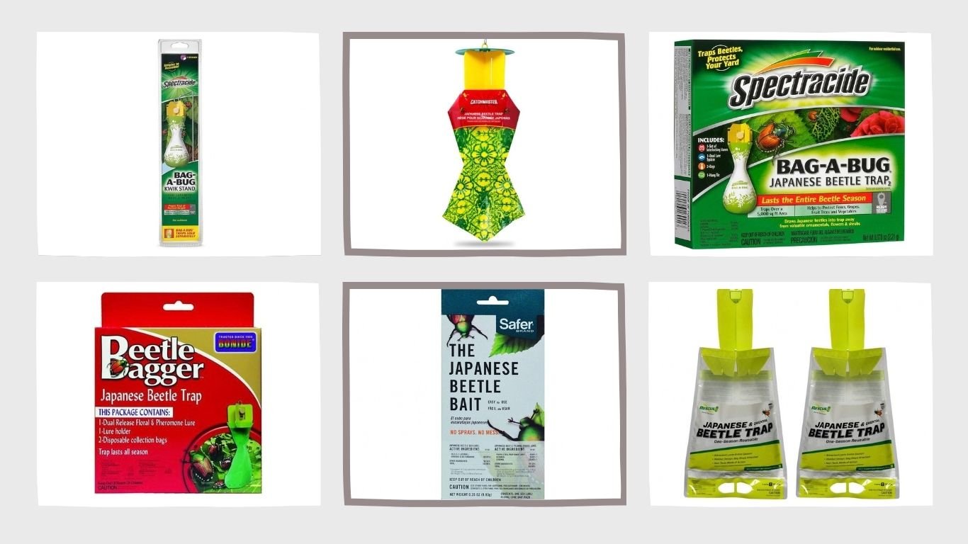 11 Best Japanese Beetle Traps for Gardens and Yards