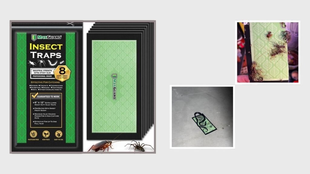 Non-Toxic Pre-Baited Spider & Scorpion Sticky Traps