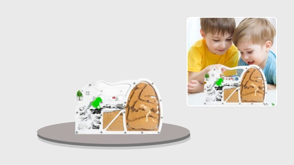 ELNMLHT Ant Farm Castle Observation Kit