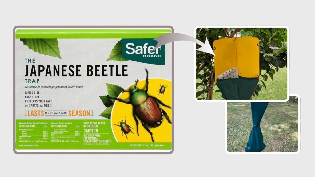 Safer Brand 70102 Japanese Beetle Trap with Attractant
