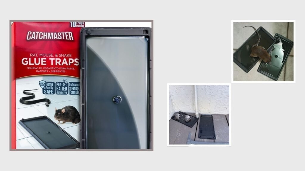 Catchmaster Large Sticky Glue Traps