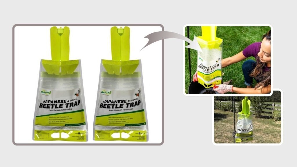 RESCUE! Reusable Japanese Beetle Trap
