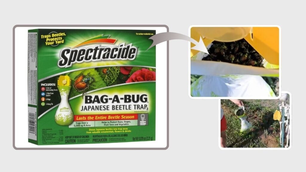 Spectracide Bag-A-Bug Japanese Beetle Trap