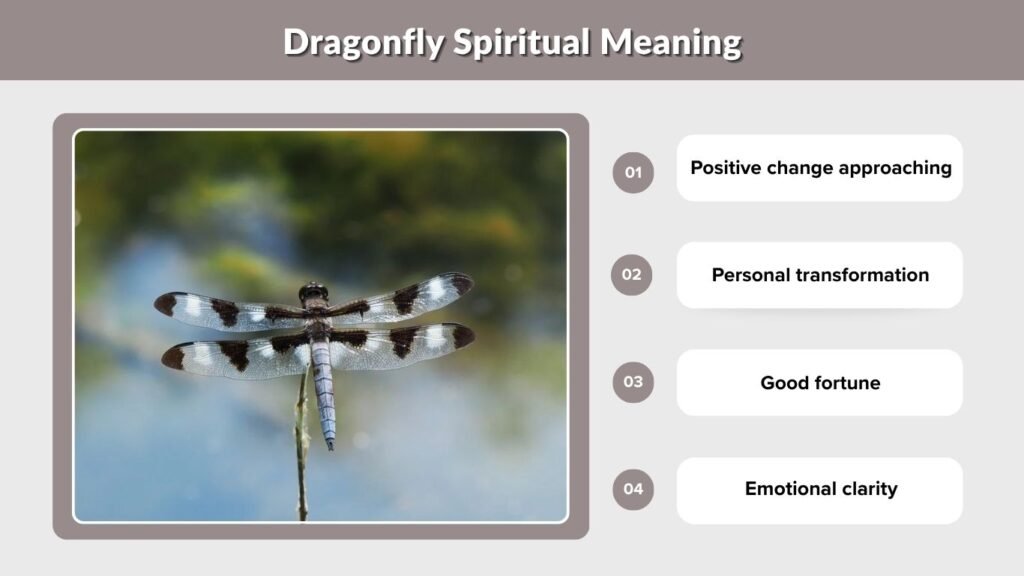 Dragonfly Spiritual Meaning