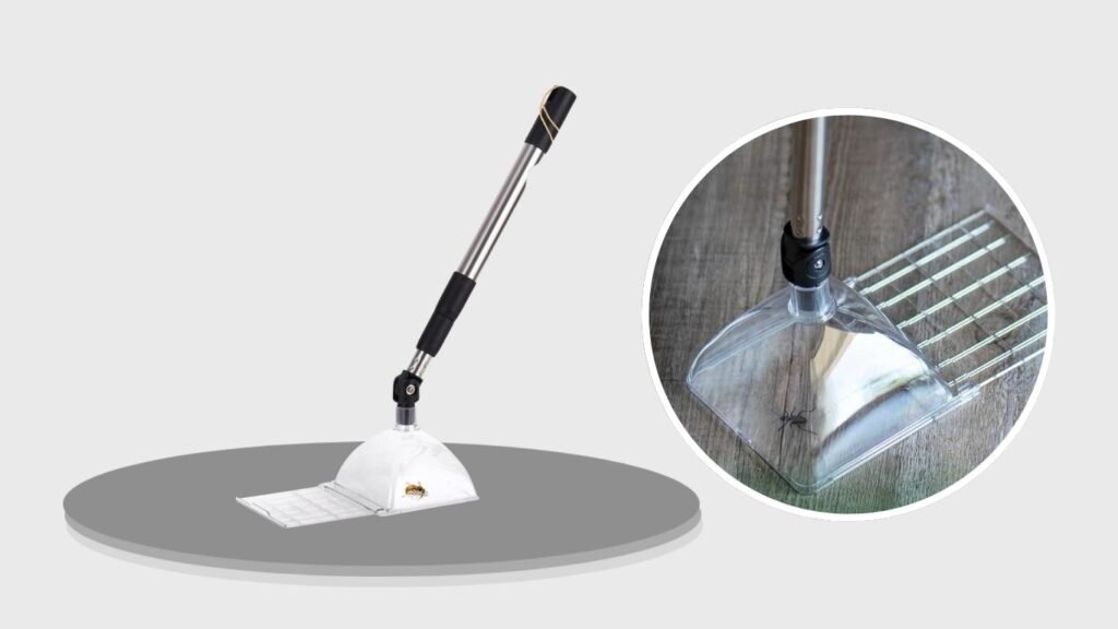 Bug Snatcher Extendable Insect Catcher & Observation Container