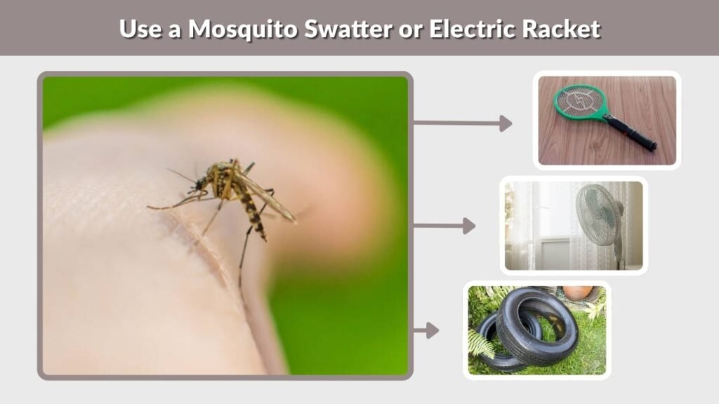 Use a Mosquito Swatter or Electric Racket