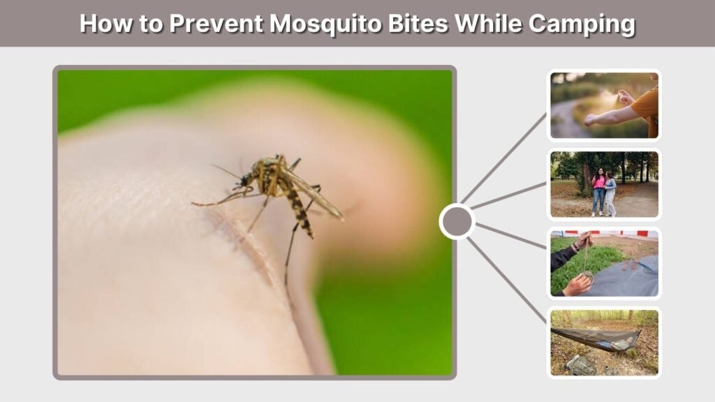 How to Prevent Mosquito Bites While Camping