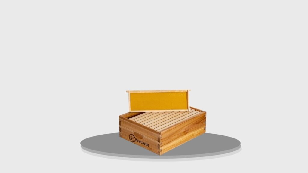BeeCastle 10-Frame Medium Super Bee Hive Box