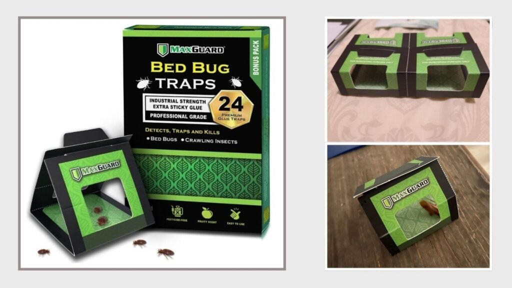 MaxGuard Bed Bug Detection & Crawling Insect Traps