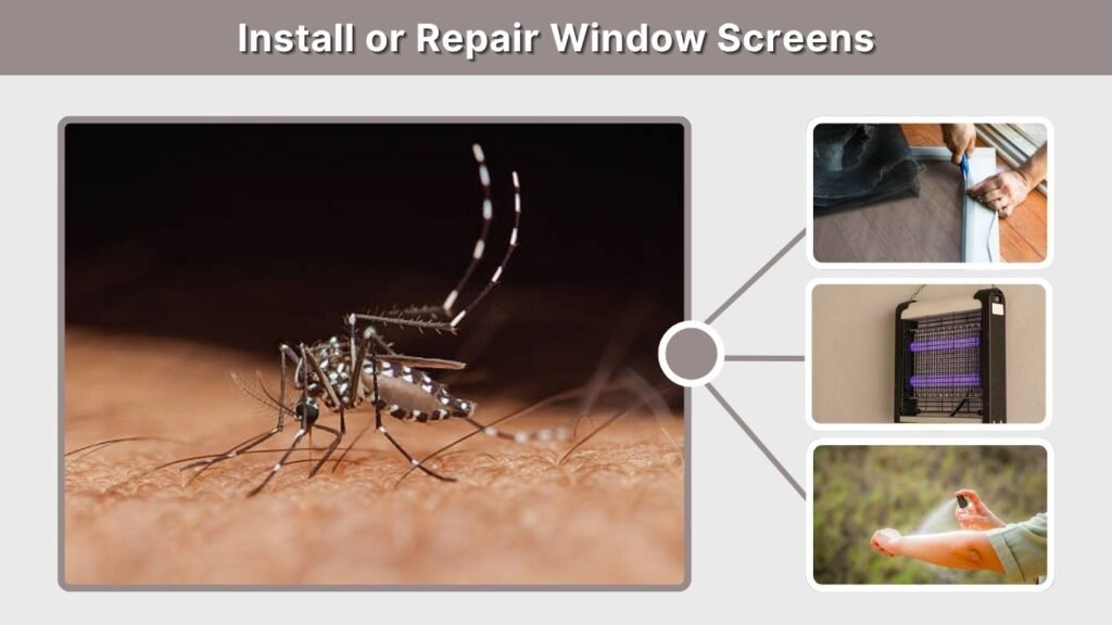 Install or Repair Window Screens