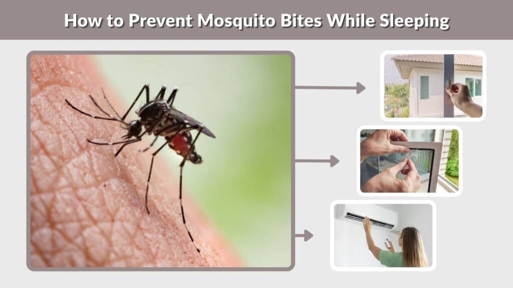 How to Prevent Mosquito Bites While Sleeping