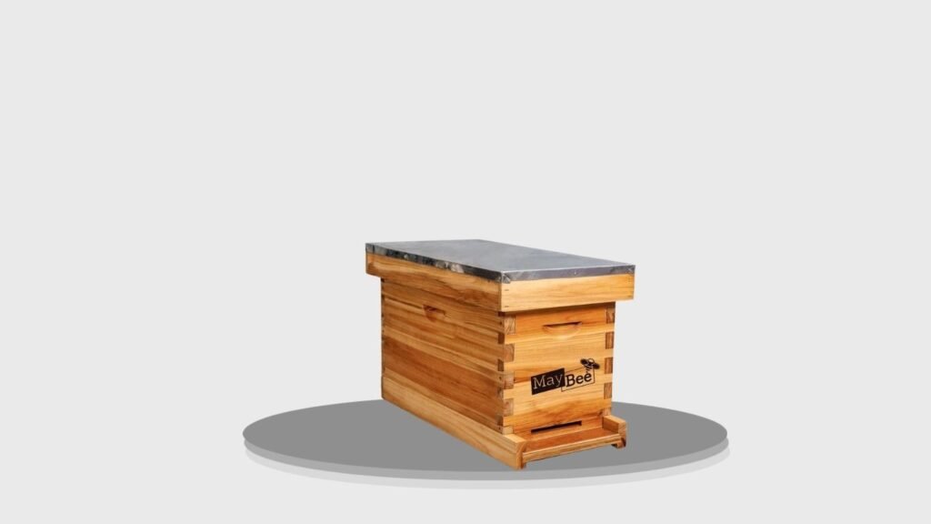 MayBee 5-Frame Nuc Beehive Kit
