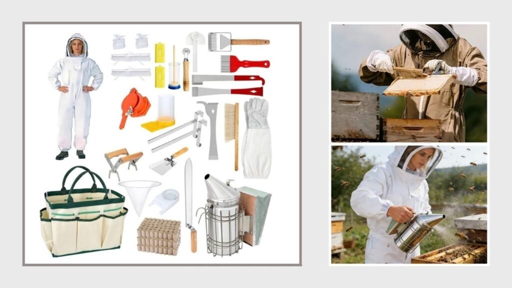 Beekeeping Supplies Kit for Beginners & Professionals