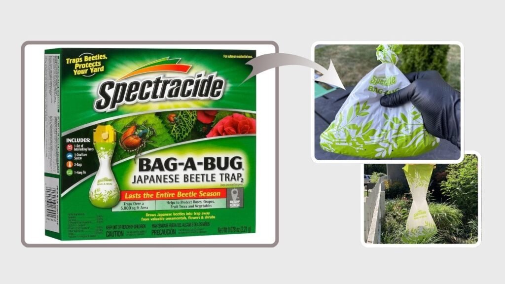 Spectracide Bag-A-Bug Japanese Beetle Trap
