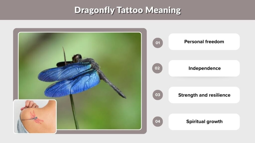 Dragonfly Tattoo Meaning