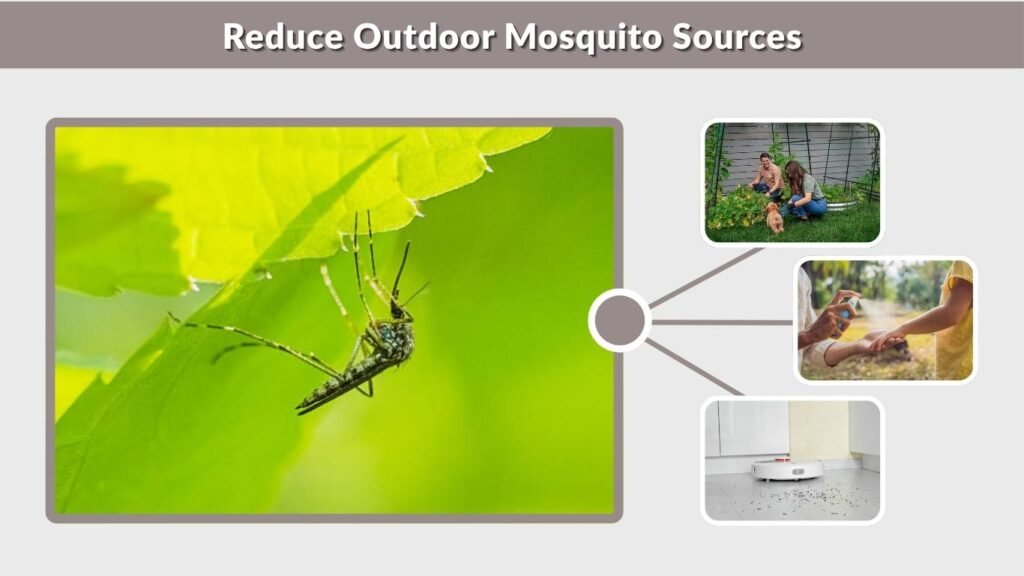 Reduce Outdoor Mosquito Sources