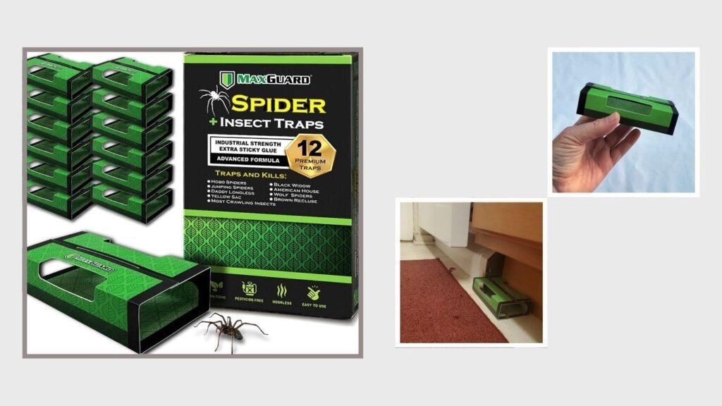MaxGuard Non-Toxic Spider & Crawling Insect Glue Traps