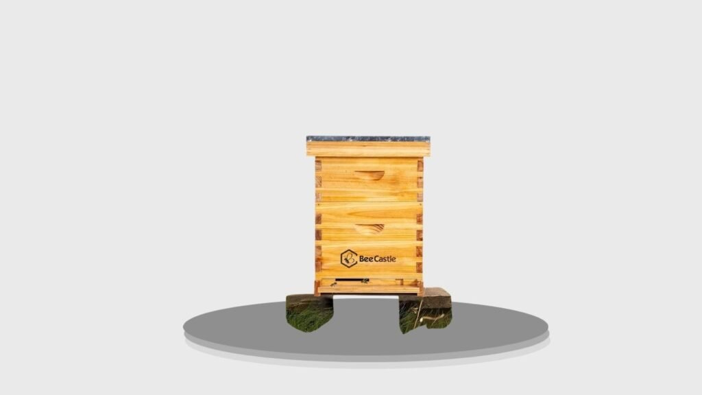 BeeCastle 8-Frame Complete Langstroth Beehive