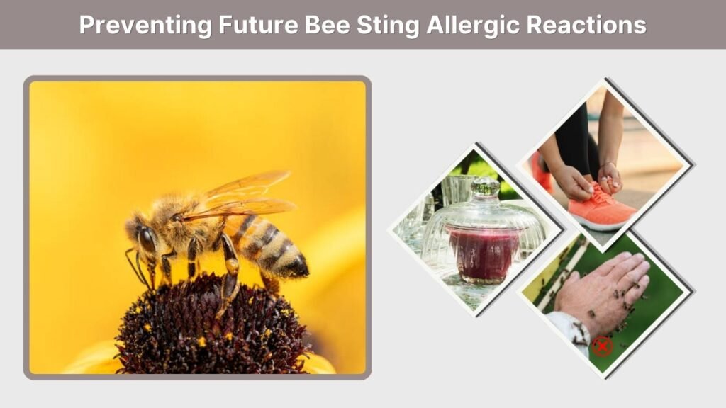 Preventing Future Bee Sting Allergic Reactions