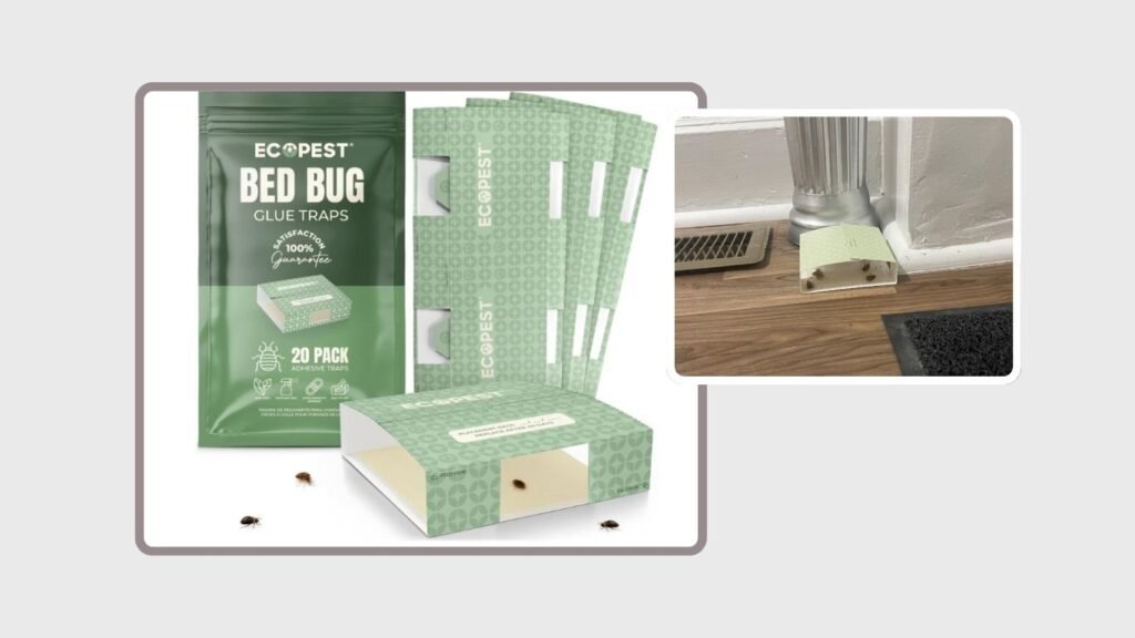 Bed Bug Glue Traps & Interceptors