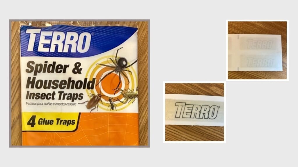 TERRO Spider Traps