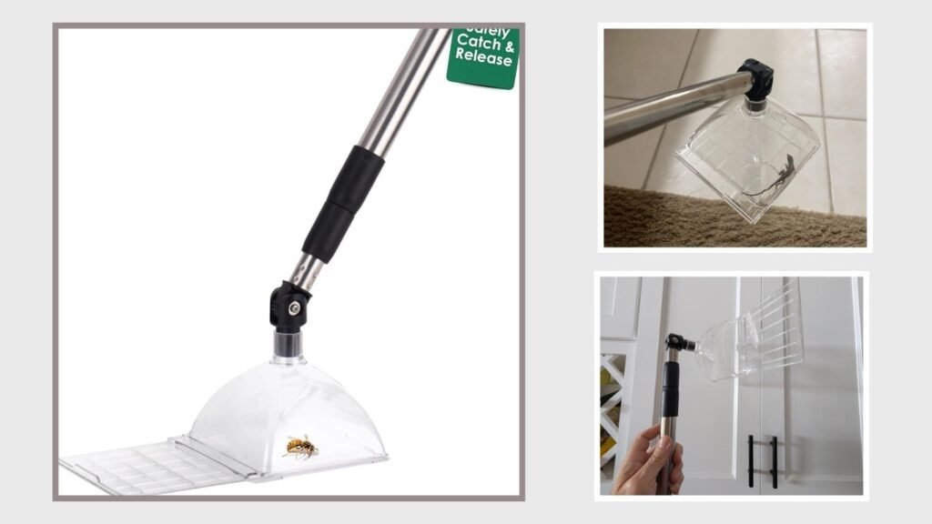 Extendable See-Through Bug Catcher Container