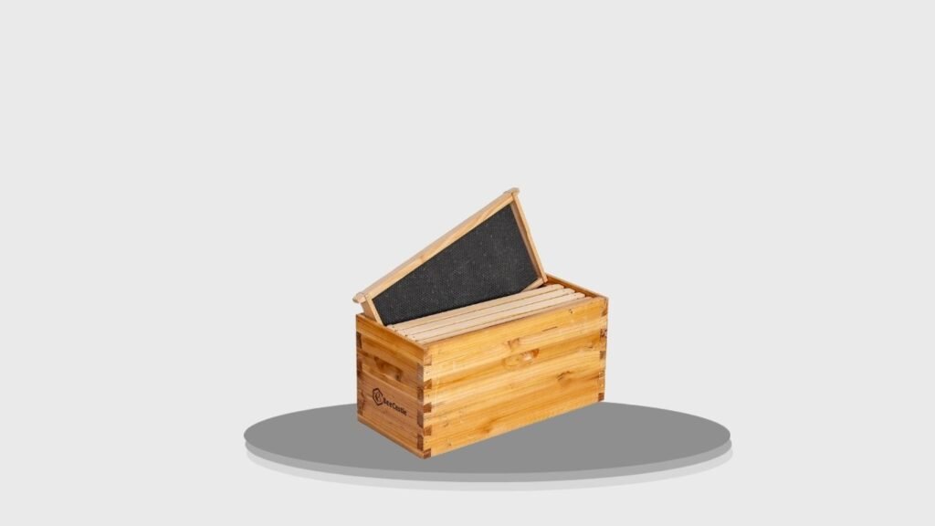 BeeCastle 5-Frame Beeswax-Coated Nuc Beehive