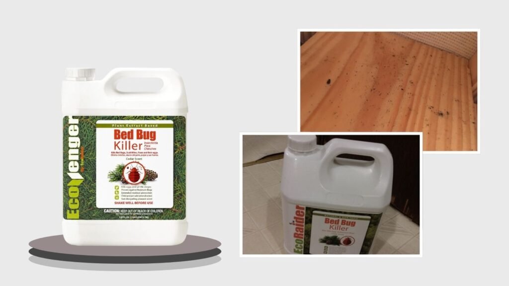 EcoRaider Bed Bug Killer Spray – 16 oz