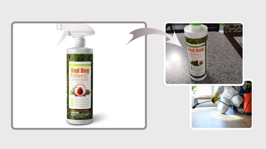 EcoRaider Bed Bug Killer Spray