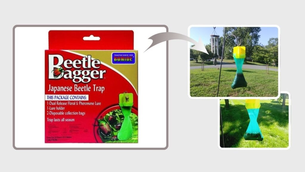 Bonide Japanese Beetle Trap