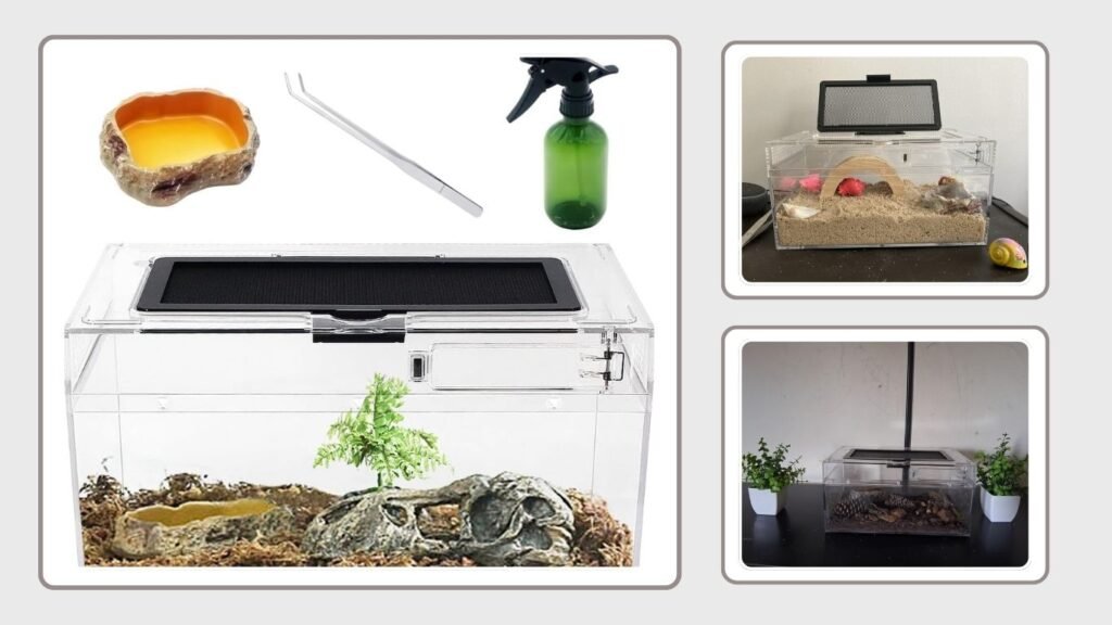 Mini Reptile Terrarium Set 11.8 x 7 x 6 Inches