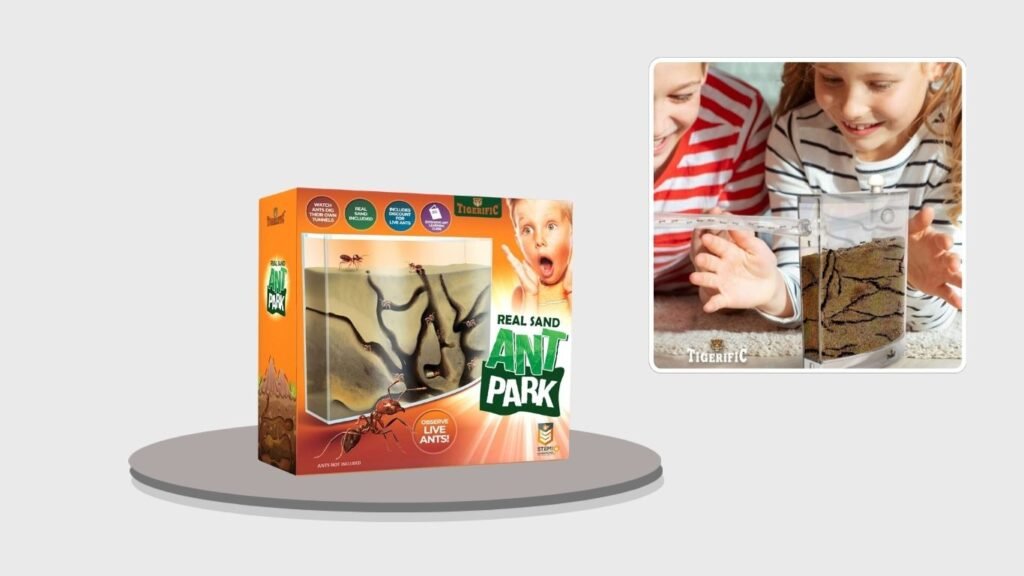Tigerific Ant Park Real Sand Ant Farm