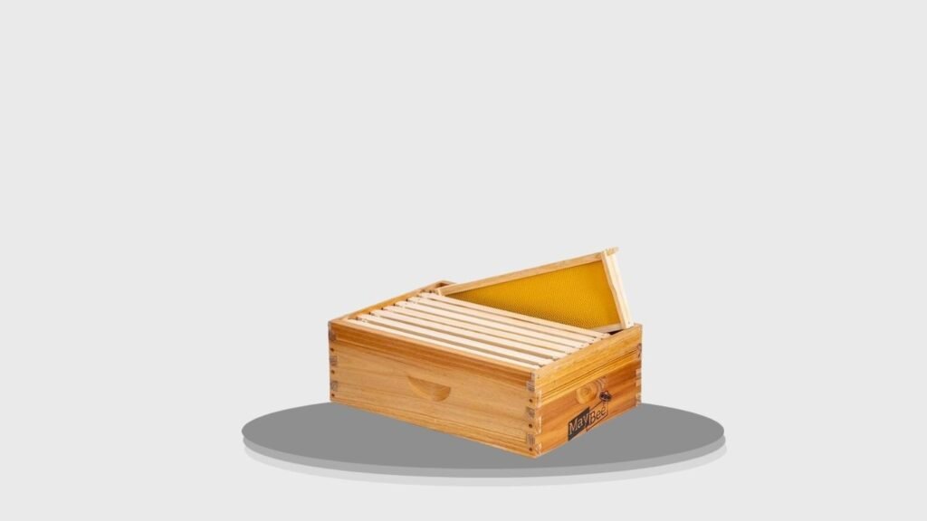 MayBee 10-Frame Langstroth Medium Super