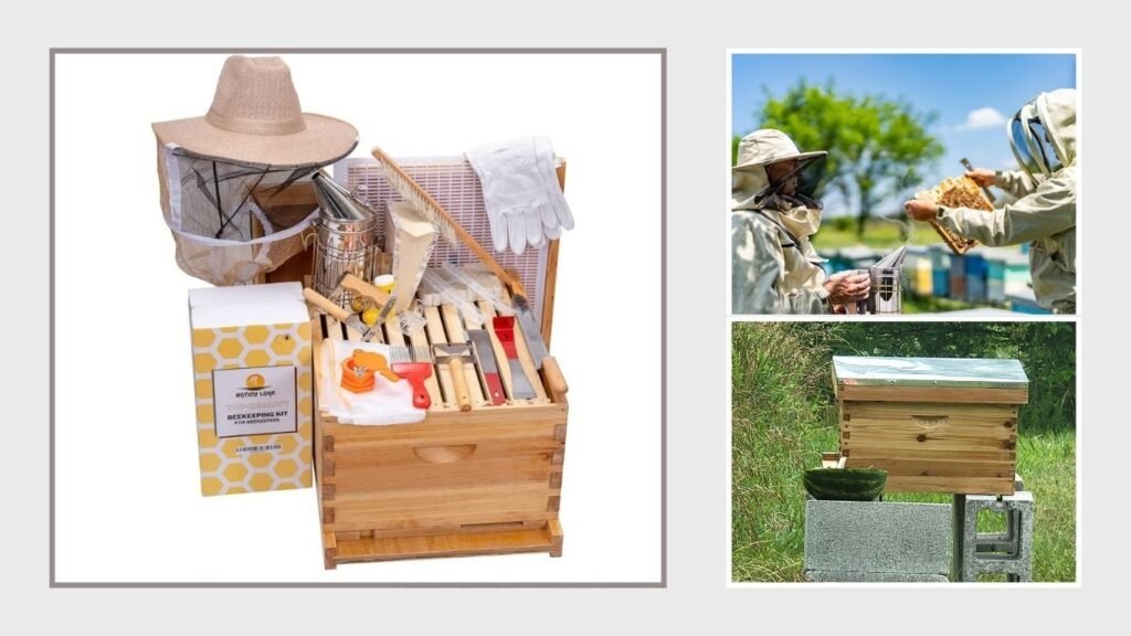 Honey Lake 10-Frame Beehive & Beekeeping Supplies