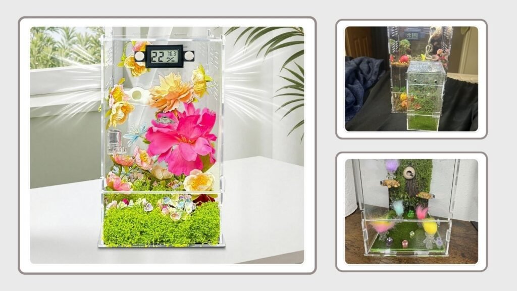 Jumping Spider Enclosure DIY Habitat Set
