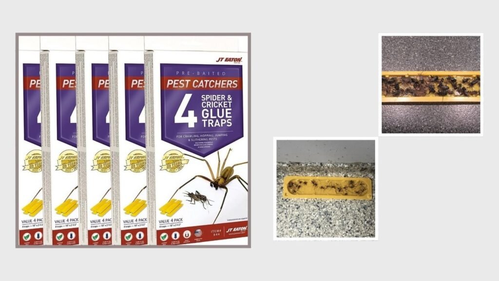 Eaton Spider & Cricket Glue Traps