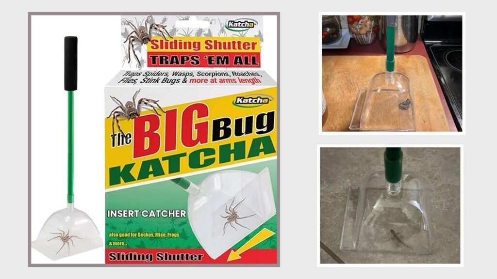 Katcha Acrylic Humane Bug Catcher