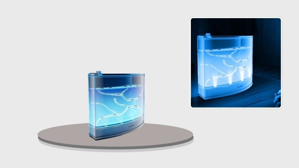 Dan&Darci Light-Up Ant Farm Terrarium Kit